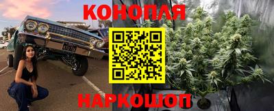 шишки Новокубанск