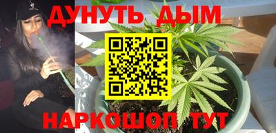 шишки Новокубанск