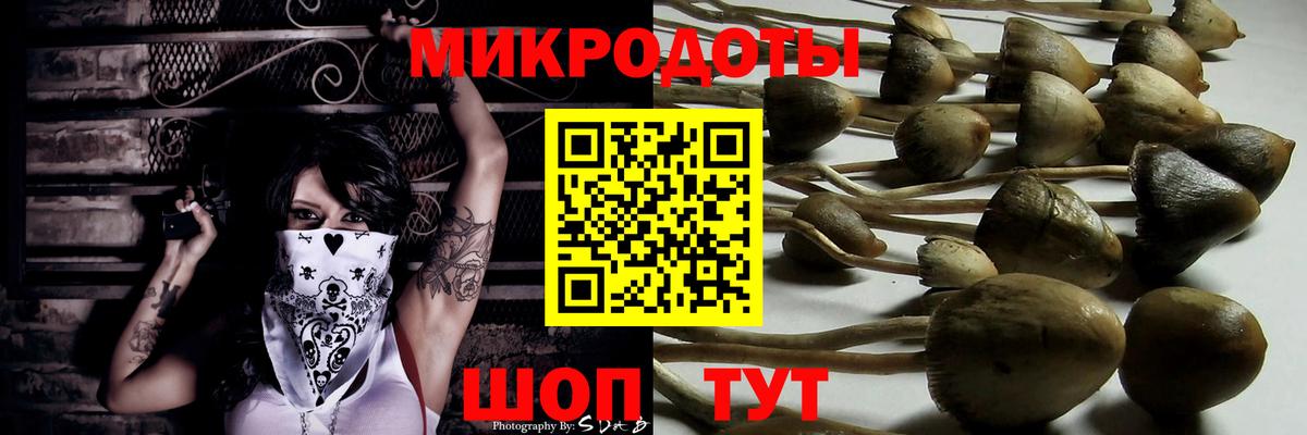 Рыбинск  Галлюциногенные грибы Psilocybine cubensis  Вход с VPN 